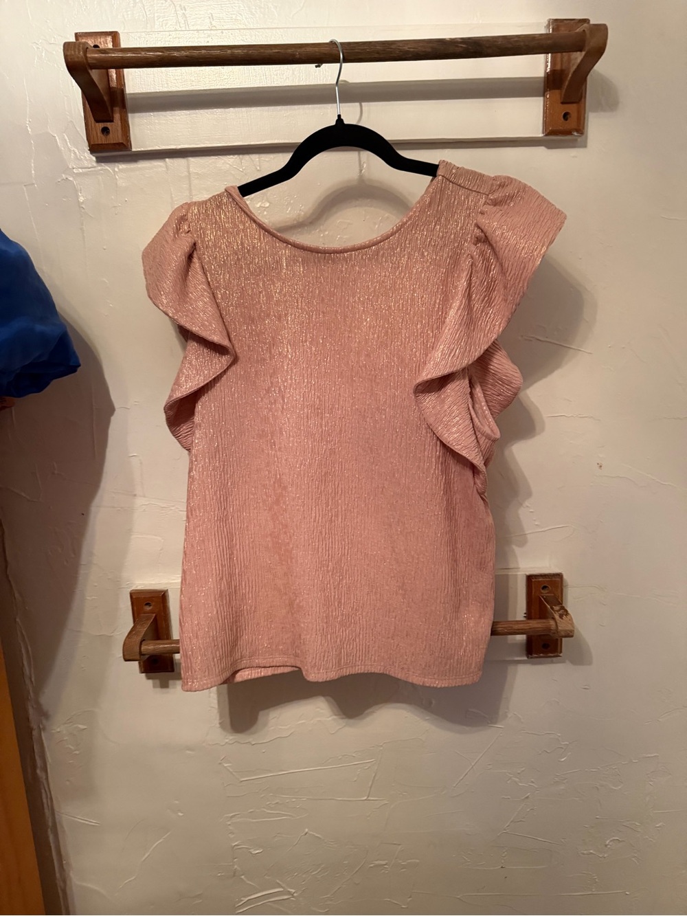 Express Blush Pink Ruffle Sleeve Shimmer Top